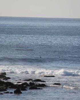 Surfing
