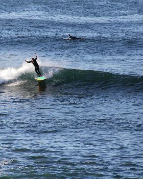 Surfing