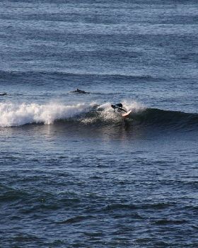Surfing