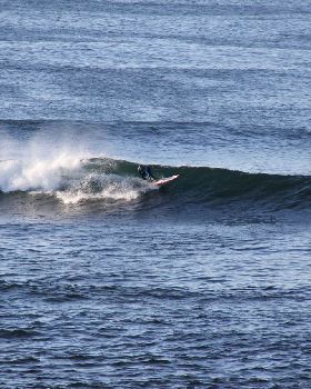 Surfing