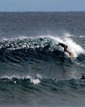 Surfing