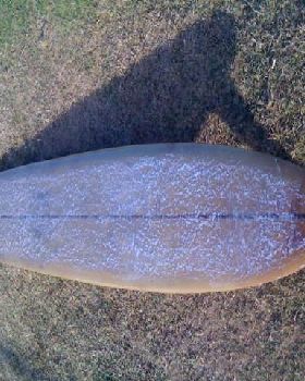 photo-6