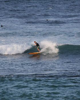 Surfing