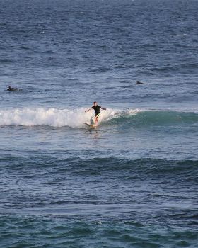 Surfing