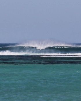 Surfing