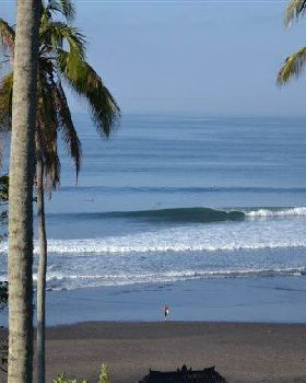 Surfing