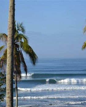 Surfing