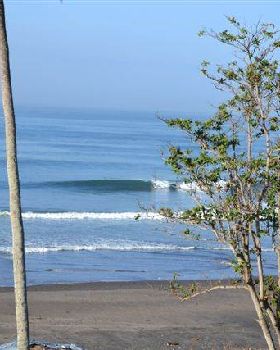 Surfing