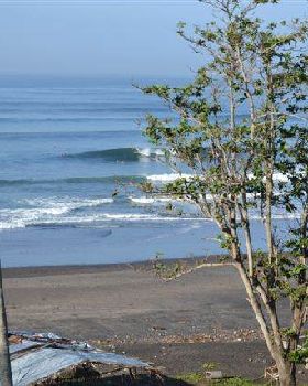 Surfing