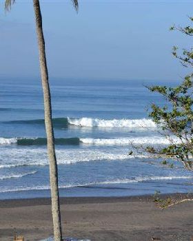 Surfing