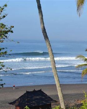 Surfing