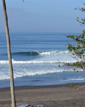 Surfing