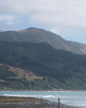cc kaikoura
