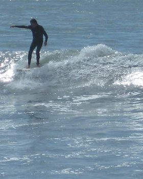 cc kaikoura
