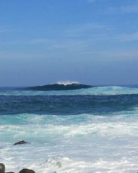Surfing