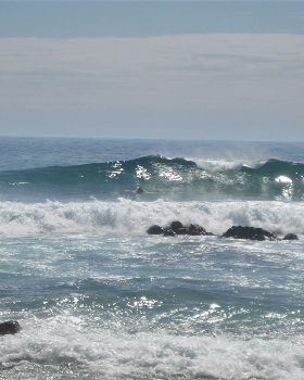 Surfing