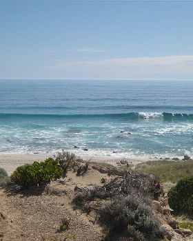 Surfing