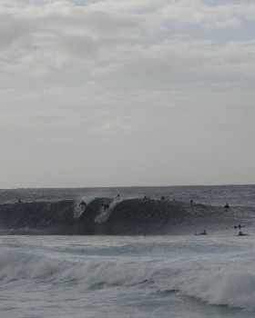 DSC02540