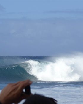 DSC02895