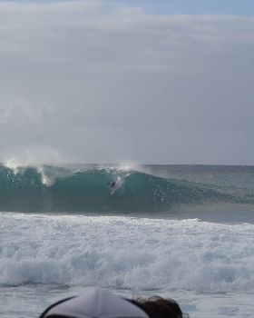 DSC02936