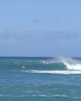 DSC03147