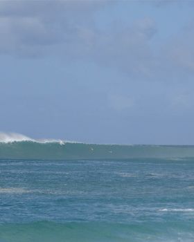 DSC03258