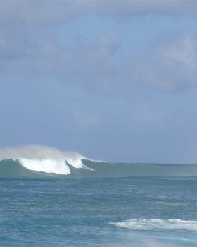 DSC03263