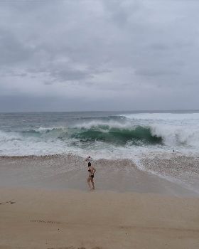DSC03352