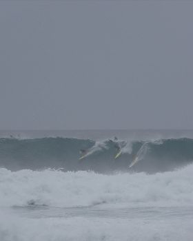 DSC03361