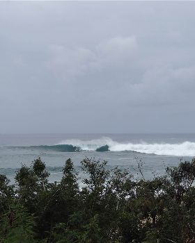 DSC03455