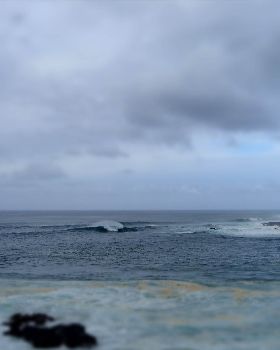 DSC03482
