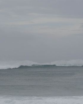 DSC03498