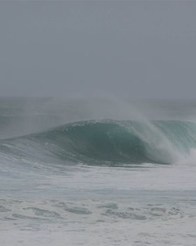 DSC03619