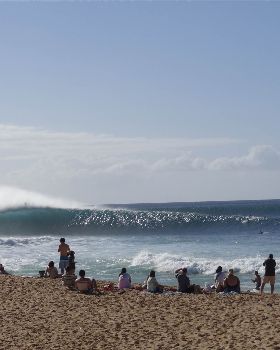 DSC03687