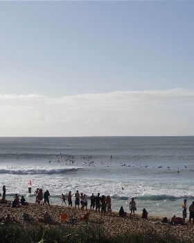 DSC03700