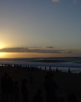 DSC03786