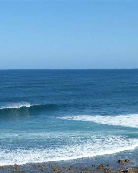 Surf1