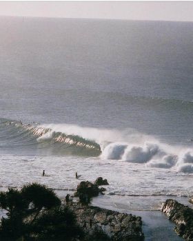 burleigh (Medium)