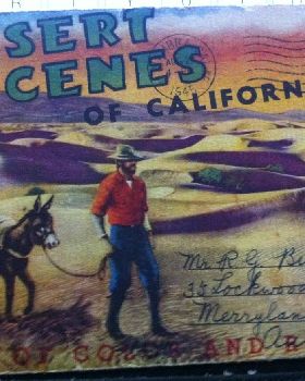 1945 Postcard