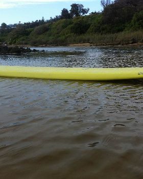 Surfing