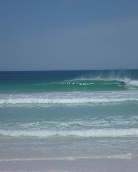 wedge feb 10 008