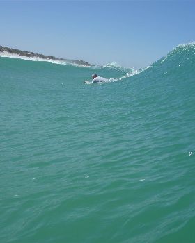 wedge feb 10 006