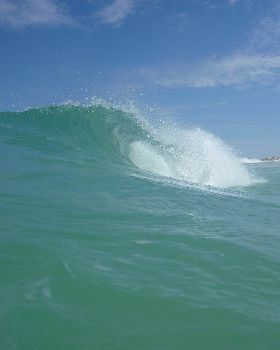 wedge feb 10 007