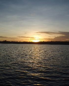 P1031545