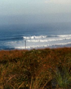 scan0003