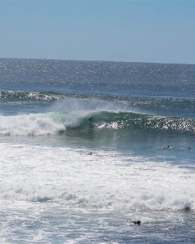 Surfing
