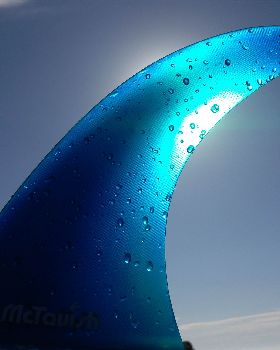 Single Fin