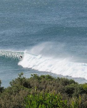 Surfing