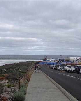 DSC04230