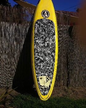 Surfing